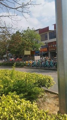 Yang's Dry-Seasoned Snail Noodles