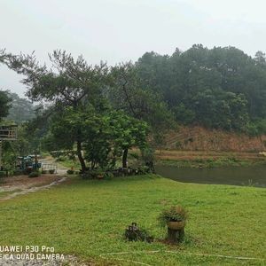 Mountain Stream Fish Farm
