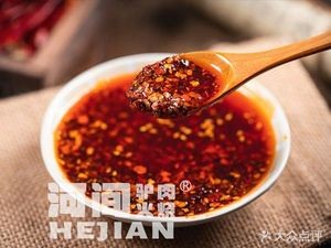 Hejian Donkey Meat Fire Cake (You'ai Road West 1st Alley Branch)