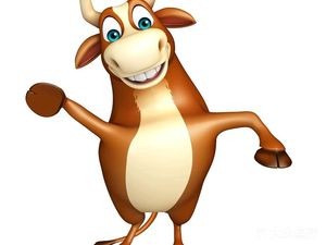 Sichuan Flavor Clay Pot Beef Offal Stew · Niu Niu Light Meal