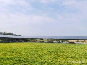 Beautiful South · Lan Qi Yuan · Whole Lamb BBQ · Team Building BBQ Venue