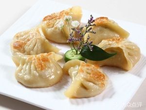 Craving Cat Dumplings
