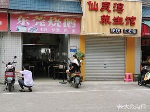 Dongguan Roast Goose (Ke Yuan East 11th Road Store)