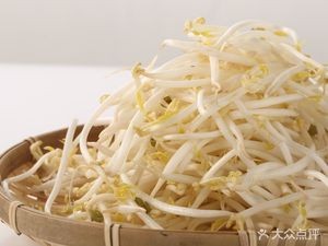 Pang Ge Fei Chang Xian Lao