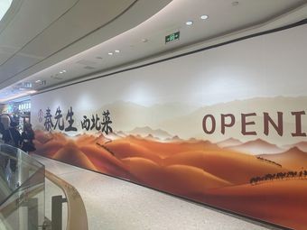 Mr. Qin Northwest Cuisine