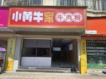 Little Yellow Cow Beef Noodles