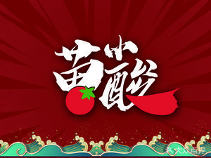 Miao Xiao Suan Sandpot Spicy Hot Pot · Street-style Hot Pot (Xingshi Road Branch)