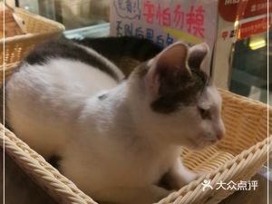 Aitwo Coffee & Dessert Shop