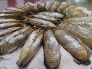 Fubingye Seafood Restaurant