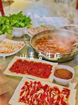 Shan Qing Xiang Niu Zhuang (Qingyan Founding Store)