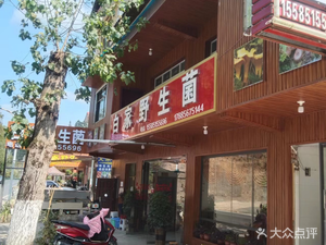 Bai Family Wild Mushroom