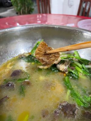 Fan's Wild Mushroom Hall