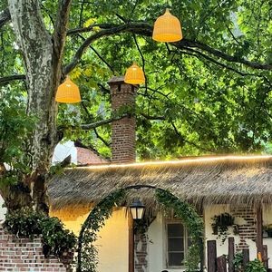 Qiu Shan · Wu Tong Grilling and Wine House