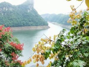 Hidden Forest Manor (Huaxi Branch)