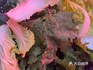 Qian Dou Yuan Guiyang Specialty Dried Bean and Vegetable Hot Pot (Guian Branch)