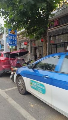 Chongqing Small Noodles