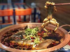 Meng Lao Han Frog and Fish Head (Wanyi Plaza Store)