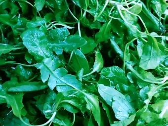 Zhang's Kaili Sour Fish Soup Wild Vegetable Hot Pot