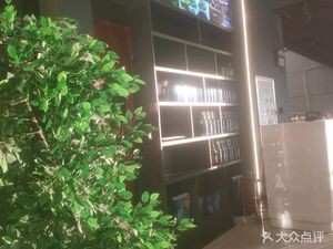 Wangyou Shared Drunk Pub