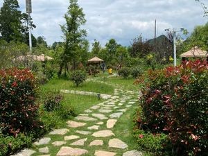 Hu Zhi Pan Farmhouse Barbecue Whole Lamb