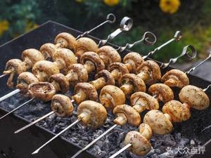 新疆和田玉羊肉串(中铁·逸都国际店)