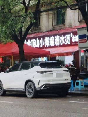 Jinding Mountain Xiao Mei Niang Qing Shui Tang (Qingyun Road Store)