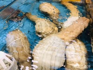 Honghuohuo Fresh Seafood Honghuohuo (Qingyun Night Market)