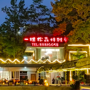 One Pine Forest Elegant Kitchen