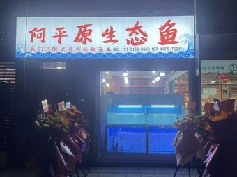 A Ping's Eco-Friendly Fish