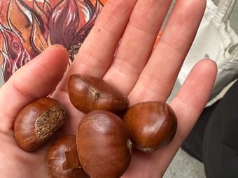 Si He Xi (Meilong Commercial Center Store, Xuhui)