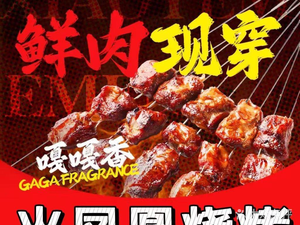 Fire Phoenix BBQ (LanGao Road Store)