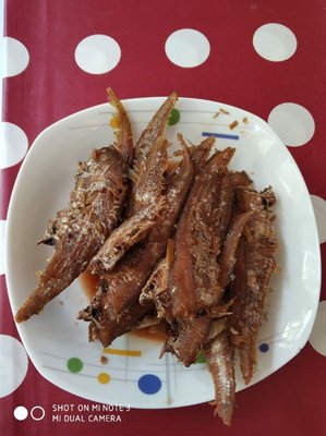 Ju Xiang Bao Yu (Putuo San Q区 Store)