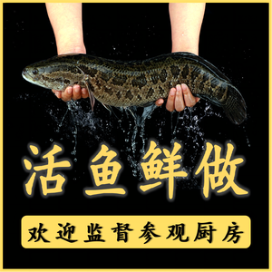 Bai Shi Wo Sour Fish · Clay Pot Dishes · Home-style Stir-fry (Fengzhuang Store)