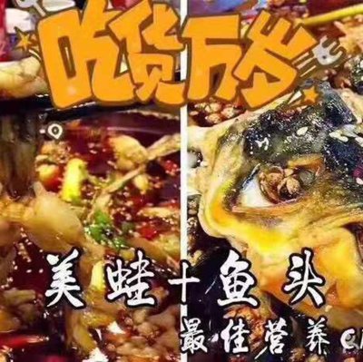 Gongfu Wa - Spicy Frog & Fish Head Hotpot (Fengzhuang North Road Branch)