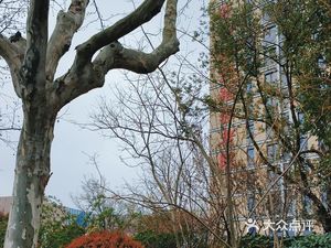 Youyou Elderly Care Home Canteen