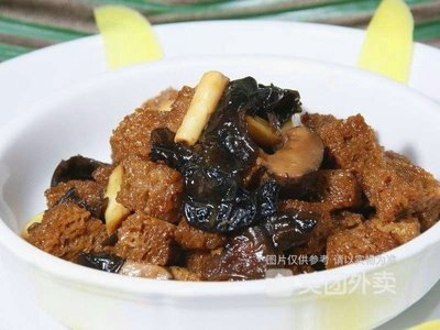 Chaozhou Goose
