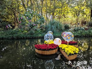 Longjiang Pig Trotter Rice (Huayehui Creative Park A Building Branch)