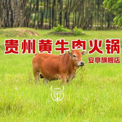 Guizhou Yellow Beef Hot Pot (Anting Flagship Store)