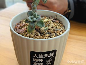 Buffer coffee (Shanghai International Automotive City Building Branch)