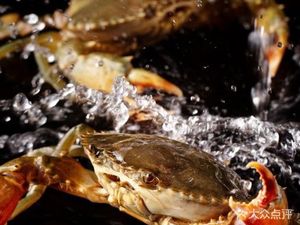 Fengqiao Cantonese Seafood Port