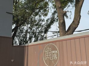 Coffee Under the Plane Tree