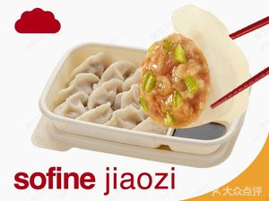 Songfan Fine Dumplings (Jinke Road Branch)