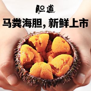 Dandao · Sea Urchin Specialty Store (Kaidi Jingcui Branch)