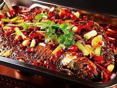Zhuge Village Farmer Fish Grill (Kanghua Road Branch)