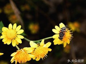 饺王府·山东水饺(沈庄店)