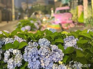 Xinyi Flower Coffee (Habu Building Branch)