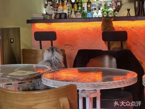 Chen Xiao Mao Cafe & Bar