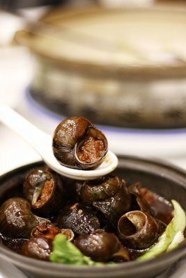 Ruifu Garden Social Dining Room (Maoming South Road Store)