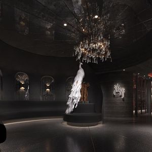 Dianye Yunnan Wild Mushroom Hotpot