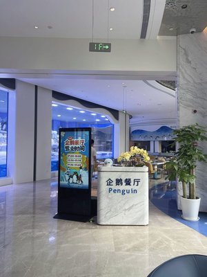 Shanghai Jinqiao Haichang Penguin Resort Hotel Penguin Restaurant